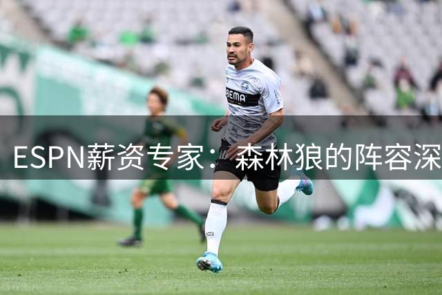 ESPN薪资专家：森林狼的阵容深度相当不错，比过去几年都要好